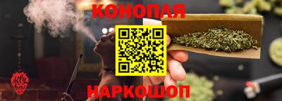 индика Гусиноозёрск