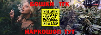 индика Гусиноозёрск