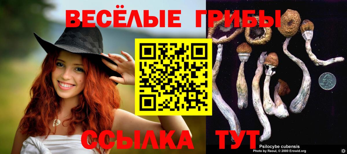 Нерюнгри  Галлюциногенные грибы Magic Shrooms  Вход с VPN  Галлюциногенные грибы GOLDEN TEACHER 