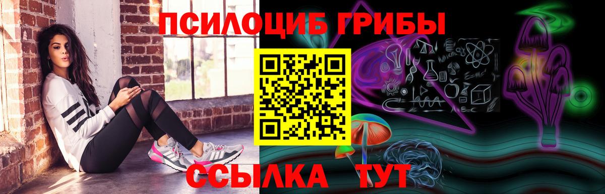 Псилоцибиновые грибы GOLDEN TEACHER Нерюнгри